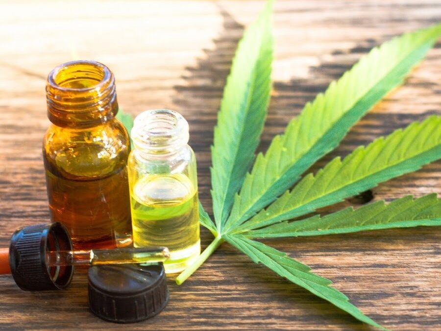 Empresa de Cannabis Medicinal anuncia pesquisas em parceria com Unifesp, USP e UFPB