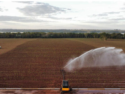 irrigação em lavoura de cana-de-açúcar. Foto: Leandro dos Santos Morais